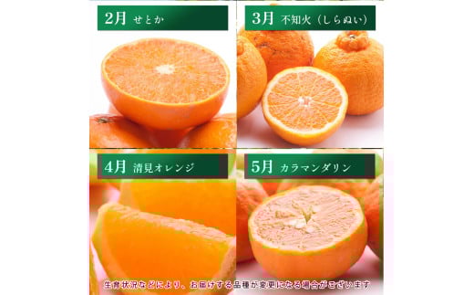 【7～9月】柑橘 定期便 M【全3回】【和歌山】 ※北海道・沖縄・離島への配送不可 / 定期便 フルーツ はっさく せとか 不知火 清見オレンジ カラマンダリン みかんゼリー ハウスみかん ゆら早生 有田みかん  //teiki 【ikd050-m79-c】 【7～9月】家庭用45000円