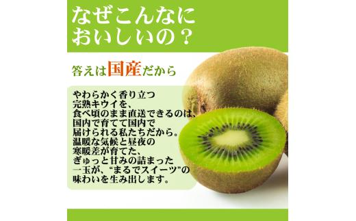 キウイ 家庭用 1kg+250g（痛み補償分） / キウイフルーツ 訳あり 和歌山 ※2025年11月中旬～2026年6月下旬に順次発送 ※北海道・沖縄・離島への配送不可【ikd505-c-1A】