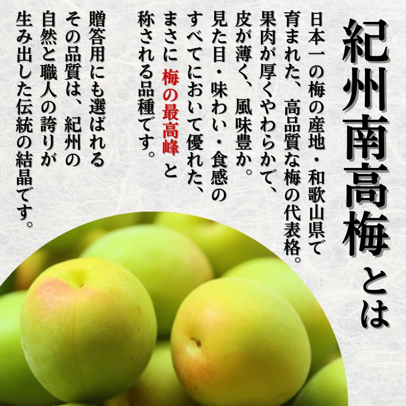 青梅 厳選 南高梅 3kg+250g（痛み補償分） / 梅 梅ジュース 梅酒 梅干し 高級 和歌山 ※5月~6月発送予定 ※北海道・沖縄・離島への配送不可 【ikd508-p-3G】