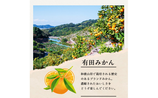 有田 みかん 特選 10kg 【 創業120年 農家直送 】 / 温州みかん 有田みかん 甘い 高級 和歌山 柑橘 ※11月中旬～1月中旬に順次発送 【isy004-r-10B】
