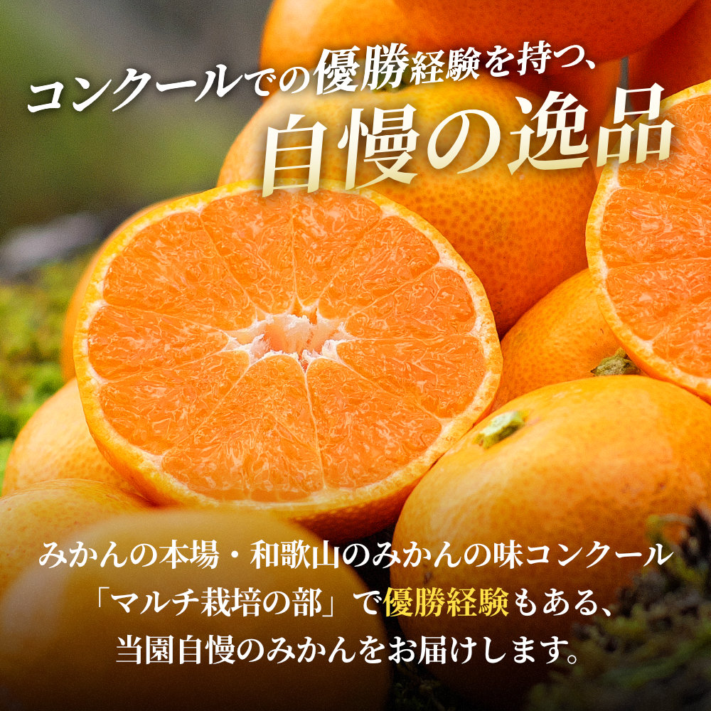 有田 みかん 特選 7.5kg【 創業120年 農家直送 】 / 温州みかん 有田みかん 甘い 高級 和歌山 柑橘 ※11月中旬～2月上旬に順次発送 【isy004-r-7d5C】