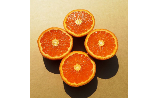 ■紀伊路屋　紀六柑きろくかん(かんきつ中間母本農６号)ストレートジュース720ml×２本12000 【kjy100-ki-720-2A】