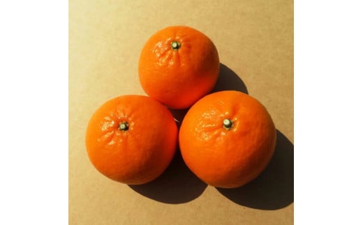  紀伊路屋 紀六柑 きろくかん (かんきつ中間母本農6号) ストレート ジュース 180ml / 和歌山 みかん 濃厚 ドリンク 飲料 果物 フルーツ ジュース 果実 飲料 柑橘 蜜柑 【kjy100-kiro-180】