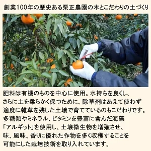 タカじいの 有田 みかん 3kg （良品 サイズ混合 or 大玉） / 温州みかん 有田みかん 甘い 家庭用 和歌山 柑橘 ※12月順次発送 【krs004-c-3-12A】