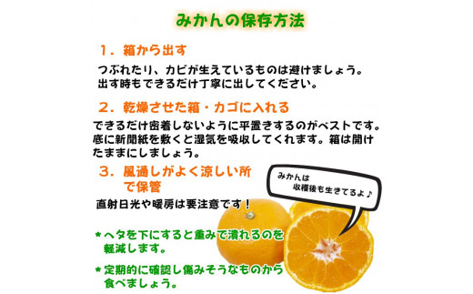 有田の高級みかん【田村みかん】秀品！たっぷり 5kg ギフトにもオススメ (S～Lサイズおまかせ) ※2025年11月上旬～2026年1月下旬頃発送予定  / みかん ミカン 有田みかん 温州みかん 柑橘 有田 和歌山 果物 フルーツ【ngt004-tamura-5】