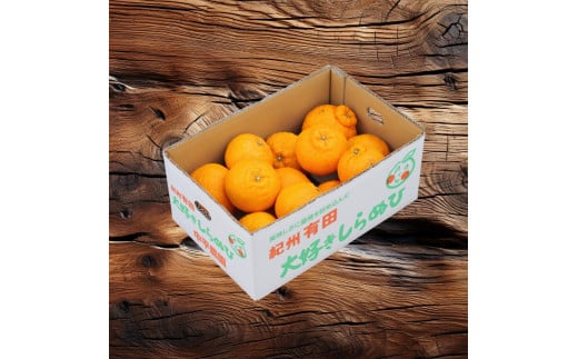 不知火 ( しらぬい ） 3kg 家庭用 (大好きしらぬい)　/ デコポン 甘い 和歌山 有田 柑橘 産地直送 農家直送 手選果 ※2月中旬～3月下旬に順次発送予定  【nkh010-c-3A】