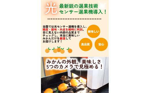有田 みかん 訳あり 2kg 光センサー 選別 / 温州みかん 有田みかん 甘い 家庭用 和歌山 柑橘 ※2026年11月順次発送 ※北海道・沖縄・離島への配送不可【nuk004-c-2-novH】