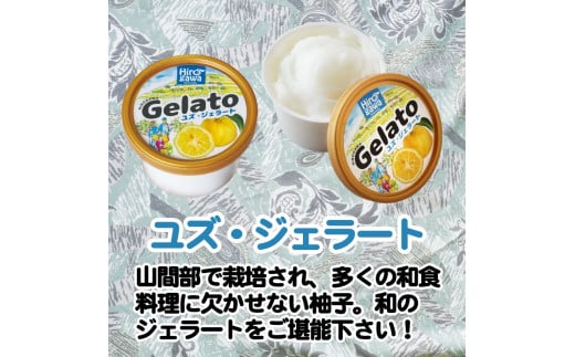 広川町 オリジナル 柑橘 ジェラート セット【sho115-hiro-20】