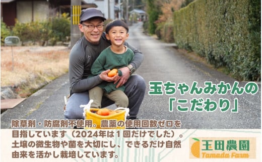 有田 みかん 旨時 体に優しい玉ちゃんみかん 10kg / 温州みかん 有田みかん 甘い 和歌山 柑橘 ※12月初旬～2月中旬に順次発送 【tmd004-cu-10】