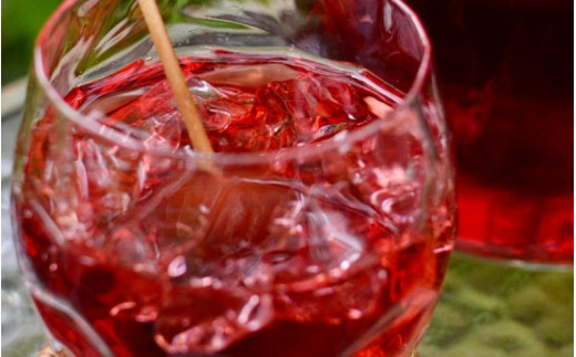 露茜 (冷凍) 訳あり / つゆあかね 梅 すもも 梅ジュース 梅酒 家庭用 和歌山 ※5営業日以内に発送 【tug515-c-500】