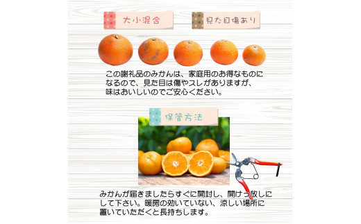 完熟 有田 みかん 訳あり 10kg 久幸園 / 温州みかん 有田みかん 甘い 家庭用 和歌山 柑橘 ※11～12月順次発送 【hsk004-c-10C】