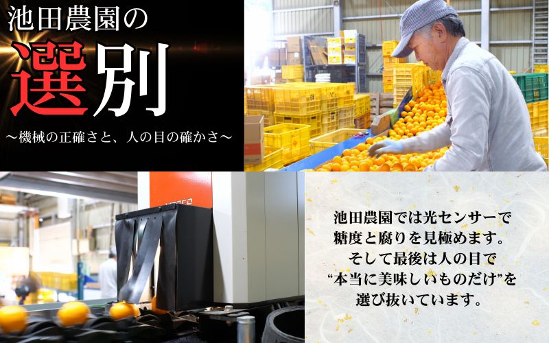 鹿蔵の 有田 みかん プレミアム 1kg+250g(傷み補償分) 光センサー 選果 / 温州みかん 有田みかん 甘い 高級 厳選 和歌山 柑橘 ※11月中旬より1月下旬に順次発送 ※北海道・沖縄・離島への配送不可 【ikd004-prem-1B】