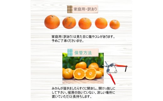 【家庭用】 はるみ 1kg+250g（痛み補償分）光センサー選別 / 訳あり 有田 みかん 柑橘 蜜柑 くだもの 果物 果実 フルーツ 和歌山 デコポン の姉妹品種 ※2月上旬～3月下旬頃に順次発送予定 ※北海道・沖縄・離島配送不可 【ikd013-c-1A】