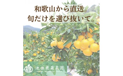 家庭用 有田 みかん 定期便 【2.5kg×3回】 / 温州みかん 有田みかん 甘い 訳あり 和歌山 有田 2.5kg ※北海道・沖縄・離島への配送不可 【ikd050-mikc-2d5-3】 2.5kg×3回