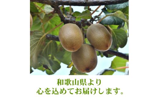 キウイ 家庭用 1kg+250g（痛み補償分） / キウイフルーツ 訳あり 和歌山 ※2025年11月中旬～2026年6月下旬に順次発送 ※北海道・沖縄・離島への配送不可【ikd505-c-1A】