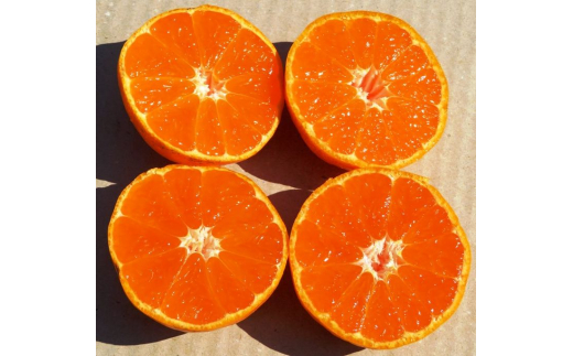 紀伊路屋　有田のみかんストレートジュース720ml×2本7000 【kjy100-720-2A】