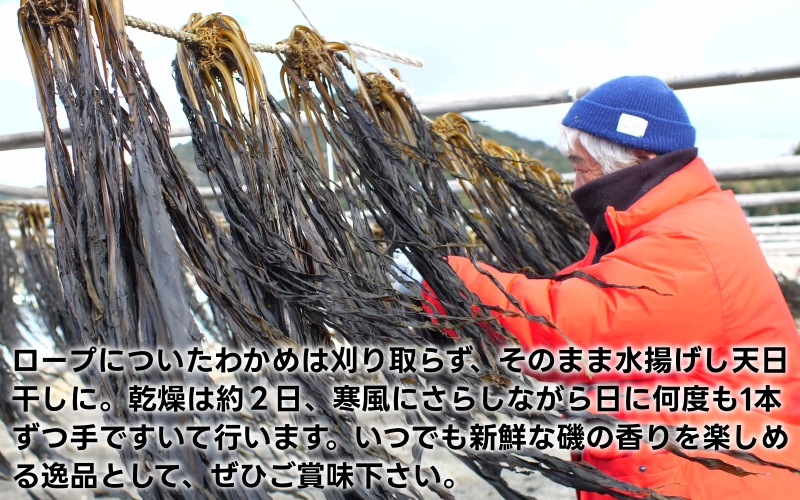 ▼紀州衣奈産乾燥わかめ 150g × 5パック(2026年産) /わかめ 海草 和歌山 国産 味噌汁 具材【sml213-wak-5】