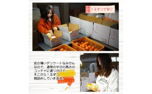 有田 みかん 「木箱姫」 / 温州みかん 有田みかん 甘い 和歌山 柑橘 ※11月上旬～翌年2月中旬頃に順次発送予定 【tkf004-p-32】