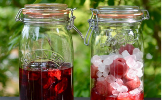 露茜 (冷凍) 訳あり / つゆあかね 梅 すもも 梅ジュース 梅酒 家庭用 和歌山 ※5営業日以内に発送 【tug515-c-500】