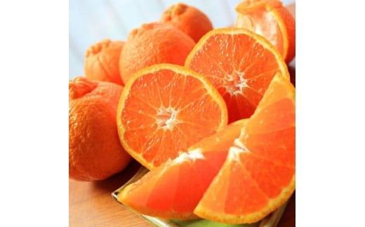 【全3回定期便】 フルーツ大国 和歌山 よりお届け！旬の フルーツ 定期便 B【田村みかん・まりひめ・紀州デコ】 / みかん いちご 甘い 定期便 ※離島配送不可