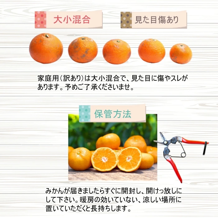 【先行予約】 【産地直送】 有田 育ちの ご家庭用 完熟 清見 オレンジ 5kg+100g(補償分) / みかん 甘い オレンジ フルーツ 果物 有田 和歌山 ※2026年2月下旬～2026年3月下旬に順次発送 ※北海道・沖縄・離島への配送不可【ard011-c-5A】