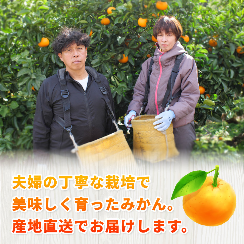 完熟 有田 みかん サイズ混合 7kg 久幸園 / 温州みかん 有田みかん 甘い 家庭用 和歌山 柑橘 ※2026年11月より2027年1月下旬に順次発送予定【hsk004-r-7B】