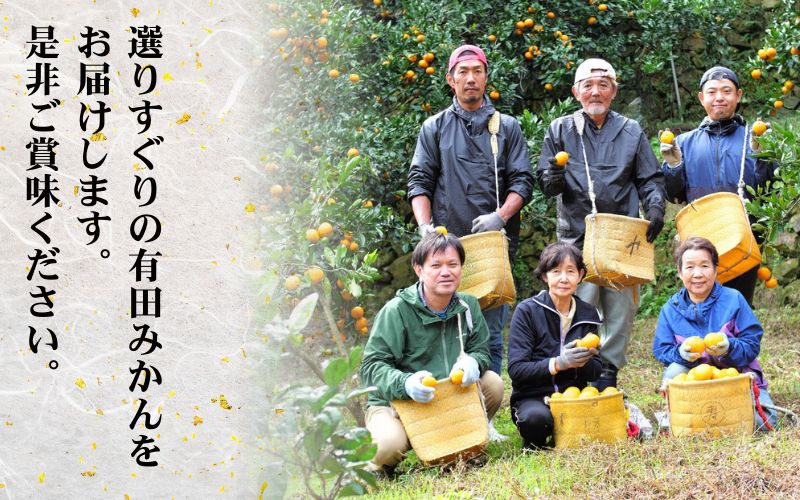 鹿蔵の 有田 みかん プレミアム 1kg+250g(傷み補償分) 光センサー 選果 / 温州みかん 有田みかん 甘い 高級 厳選 和歌山 柑橘 ※11月中旬より1月下旬に順次発送 ※北海道・沖縄・離島への配送不可 【ikd004-prem-1B】