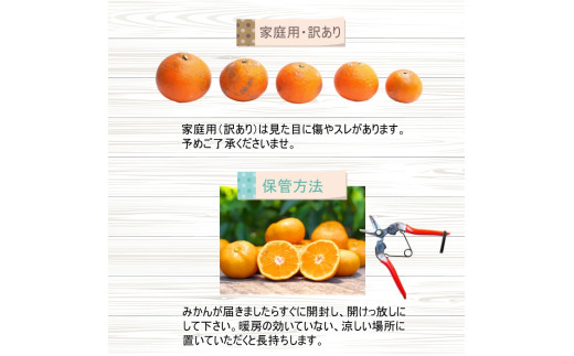 【家庭用】 はるみ 5kg+250g（痛み補償分） 光センサー選別 / 訳あり 有田 みかん 柑橘 蜜柑 くだもの 果物 果実 フルーツ 和歌山 デコポン の姉妹品種 ※2月上旬～3月下旬頃に順次発送予定 ※北海道・沖縄・離島配送不可【ikd013-c-5A】