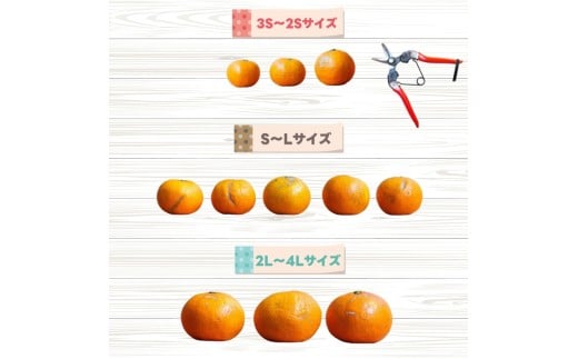 カラマンダリン 1kg+250g（痛み補償分） 厳選 / カラ カラオレンジ カラみかん 南津海 なつみ 高級 和歌山 有田 柑橘 晩柑 ※4月上旬～5月順次発送 ※北海道・沖縄・離島への配送不可 【ikd015-p-1】