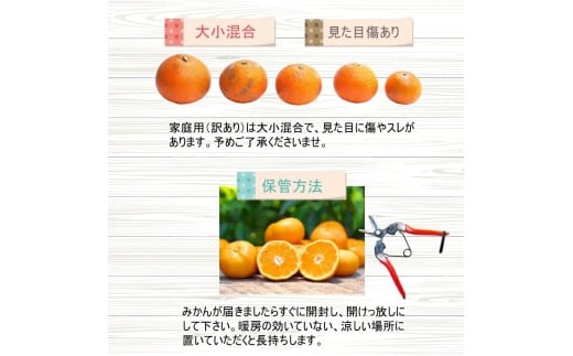 甘夏柑 家庭用 5kg+250g（痛み補償分） 光センサー / みかん 甘い 訳あり 柑橘 晩柑 和歌山 有田 ※4月上旬～6月下旬頃に順次発送 ※北海道・沖縄・離島への配送不可 【ikd023-c-5A】