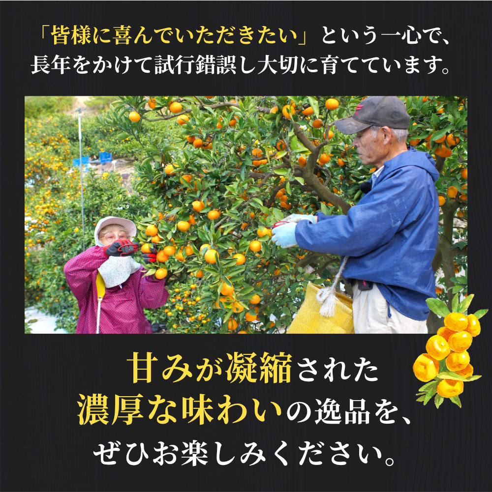 有田 みかん 小玉 5kg 【 創業120年 農家直送 】 / 温州みかん 有田みかん 甘い 小粒 和歌山 柑橘 ※11月中旬～2月上旬に順次発送 【isy004-s-5A】