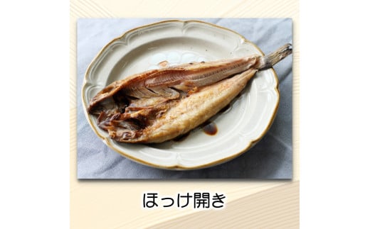 『総重量約２kg！』９種１８点盛 きのくに干物セット / 父の日 干物 お取り寄せ グルメ 冷凍 クール 低塩 開き 一夜干し みりん干し 湯浅湾 湯浅醤油 真あじ アジ 太刀魚 ほっけ ホッケ サンマ イカ 鯖 サバ 魚 海鮮 魚介 海の幸【knk248-9】