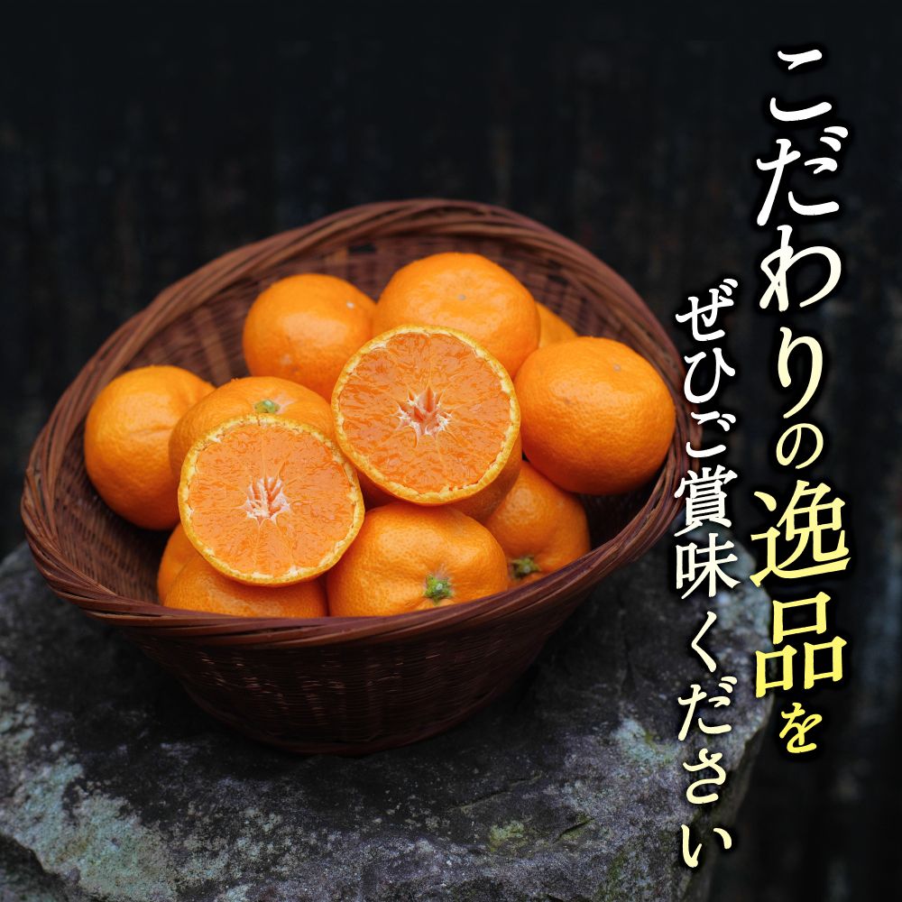 頑固オヤジの 有田 みかん 3kg 家庭用 / 温州みかん 有田みかん 甘い 訳あり 和歌山 柑橘 ※11月中旬～1月下旬に順次発送 【krf004-c-3A】