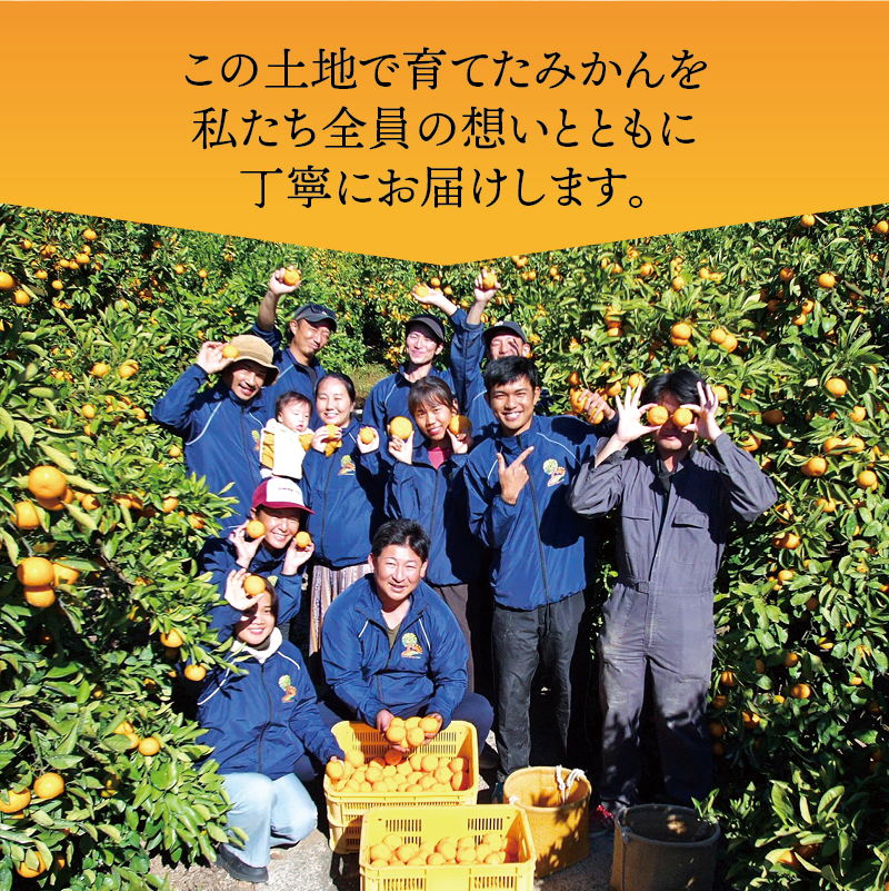 有田 みかん 訳あり 2kg 光センサー 選別 / 温州みかん 有田みかん 甘い 家庭用 和歌山 柑橘 ※12月順次発送 ※北海道・沖縄・離島への配送不可 【nuk004-c-2-decC】