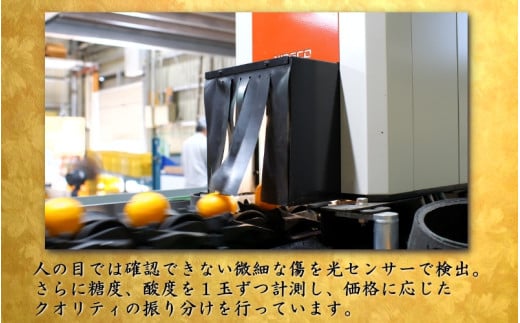 鹿蔵 プレミアム 有田みかん ( ゆら早生 ) 1kg+250g（傷み補償分） 光センサー 選果　※北海道・沖縄・離島への配送不可 ※2026年10月上旬～11月中旬頃に順次発送/ 温州 みかん 厳選 柑橘 果物 フルーツ 和歌山 【ikd003-prem-1A】