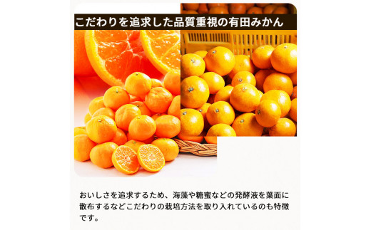 頑固オヤジの 有田 みかん 10kg / 温州みかん 有田みかん 甘い 和歌山 柑橘 ※11月中旬～1月上旬に順次発送 【krf004-r-10A】