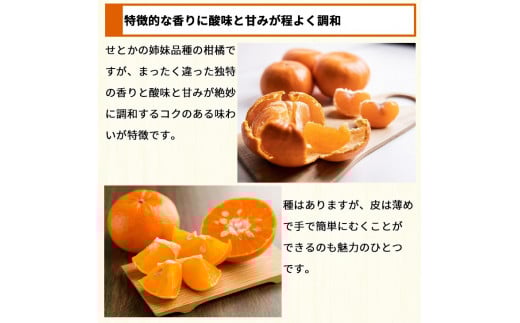 麗紅 （ れいこう ） 訳あり 2kg / オレンジ 甘い 家庭用 和歌山 有田 柑橘 ※2月中旬〜3月下旬に順次発送 【krw012-c-2】