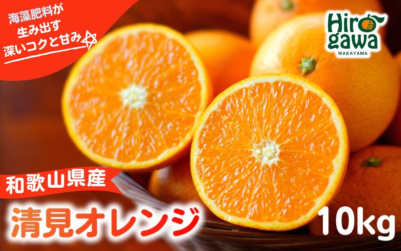 和歌山県の清見オレンジ 10kg 柑橘 ※3月中旬～4月中旬頃に順次発送予定 【aii009-r-10】