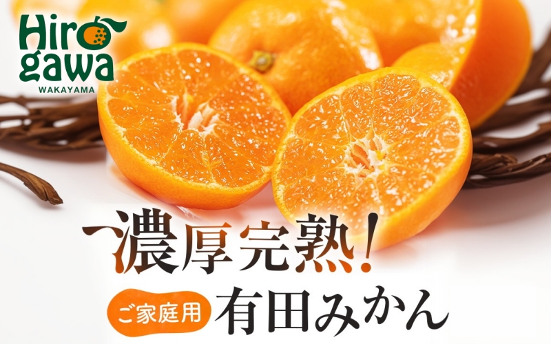 有田育ちの ご家庭用 完熟 有田みかん 3.2kg(3kg+200g) 農家直送 わけあり 訳あり ※2026年11月上旬から下旬頃に順次発送予定 / 温州みかん みかん フルーツ 果物  柑橘 くだもの 人気 和歌山 【配送不可地域：北海道・離島・沖縄県】【ard004-c-3d2-11】