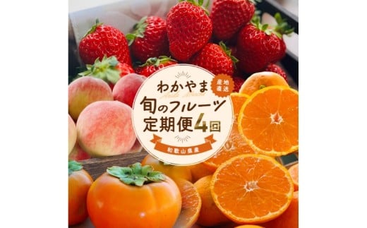 わかやま 旬の フルーツ 定期便 全4回 / 有田みかん まりひめ いちご 桃 柿 ※北海道・沖縄・離島への配送不可 【ard050-sf4A】