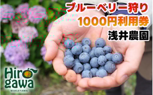 ブルーベリー 狩り 1000円×5枚 利用券 ※6月上旬～7月下旬 開催！ 食べ放題 時間無制限 で約10品種の食べ比べをお楽しみください♪ / ハイブッシュ ラビットアイ ファミリー カップル 女性 におすすめ♪【asa911-cp5】