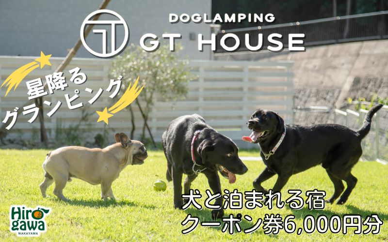 DOGLAMPING GT HOUSE クーポン券 / 犬 グランピング 宿泊券 和歌山 観光 旅行【gth-911-cp6】