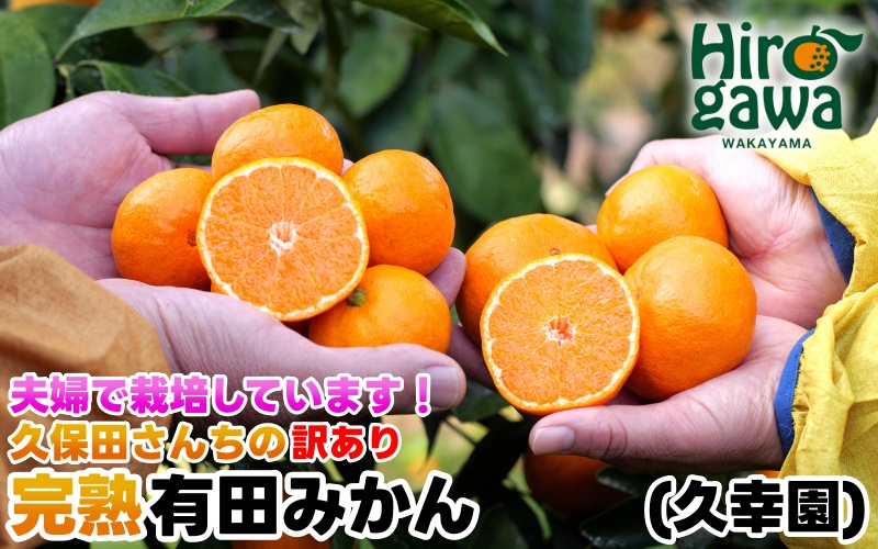 完熟 有田 みかん 訳あり 10kg 久幸園 / 温州みかん 有田みかん 甘い 家庭用 和歌山 柑橘 ※11～12月順次発送 【hsk004-c-10C】