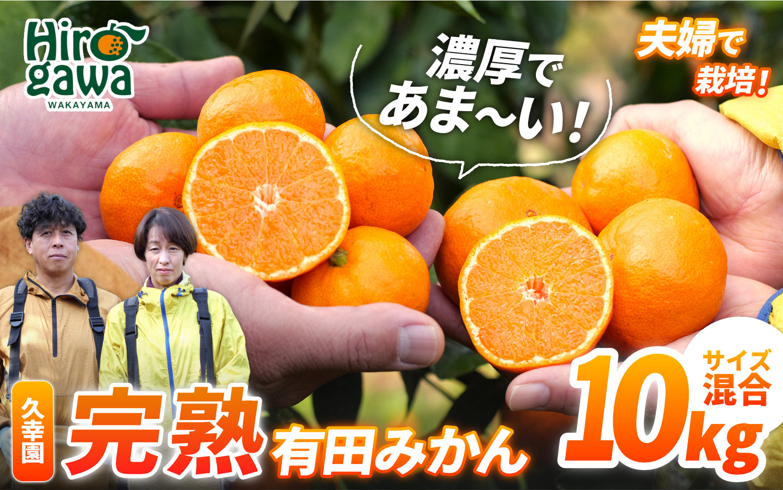 完熟 有田 みかん 訳あり 10kg 久幸園 / 温州みかん 有田みかん 甘い 家庭用 和歌山 柑橘 ※11～1月下旬順次発送 【hsk004-c-10C】