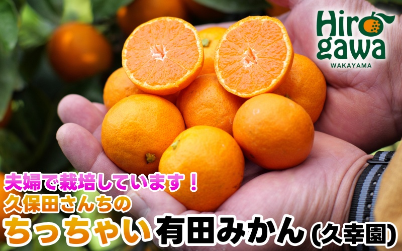 ちっちゃい 有田 みかん 5kg 久幸園 / 温州みかん 有田みかん 甘い 小玉 和歌山 柑橘 ※11月下旬〜〜12月下旬に順次発送 【hsk004-s-5A】