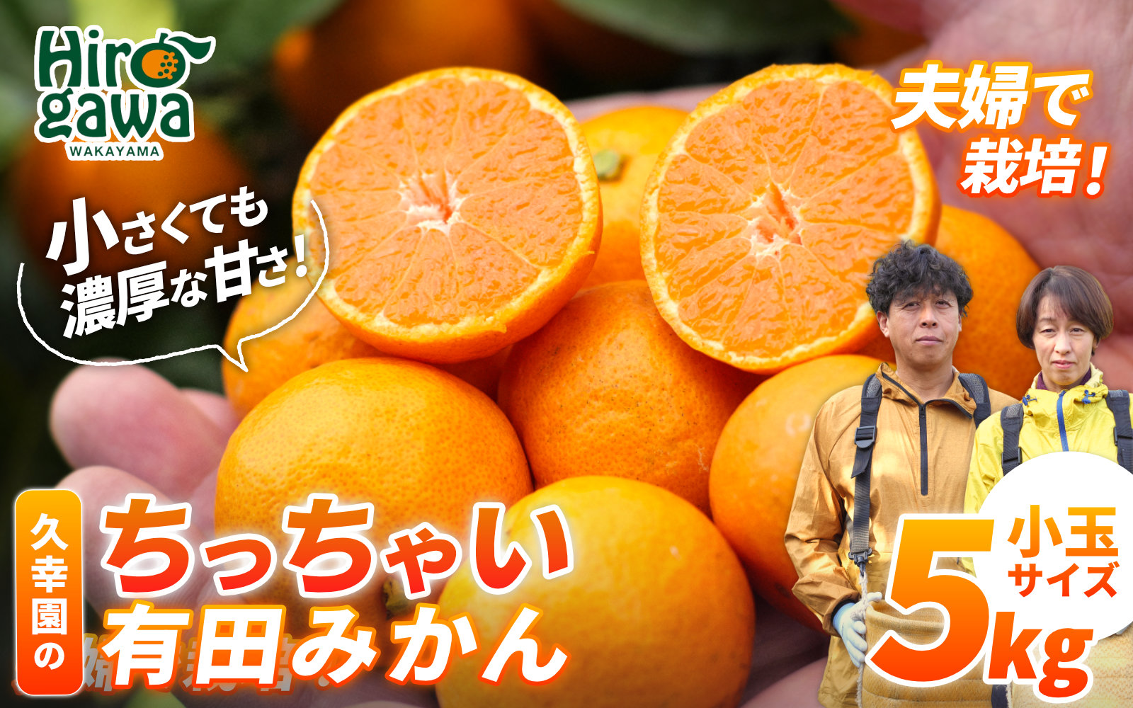ちっちゃい 有田 みかん 5kg 久幸園 / 温州みかん 有田みかん 甘い 小玉 和歌山 柑橘 ※11月下旬から2月中旬に順次発送 【hsk004-s-5A】