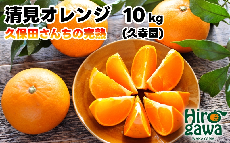 完熟 清見 オレンジ 10kg 久幸園 / 清見オレンジ 清見タンゴール きよみ 清美 甘い 高級 和歌山 柑橘 ※4月上旬～5月下旬に順次発送【hsk011-r-10B】