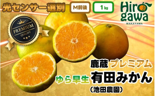 鹿蔵 プレミアム 有田みかん ( ゆら早生 ) 1kg+250g（傷み補償分） 光センサー 選果　※北海道・沖縄・離島への配送不可 ※2026年10月上旬～11月中旬頃に順次発送/ 温州 みかん 厳選 柑橘 果物 フルーツ 和歌山 【ikd003-prem-1A】