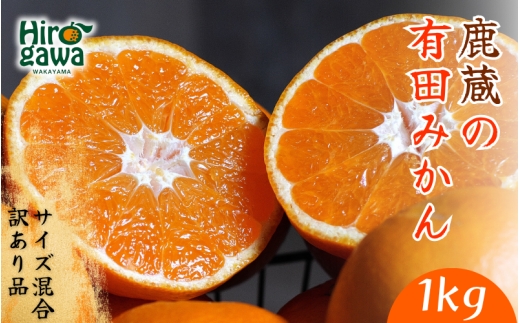 鹿蔵の 有田 みかん 訳あり 1kg 光センサー 選果 / 温州みかん 有田みかん 甘い 家庭用 和歌山 柑橘 ※11月より順次発送予定 ※北海道・沖縄・離島への配送不可【ikd004-cm-1-nov】