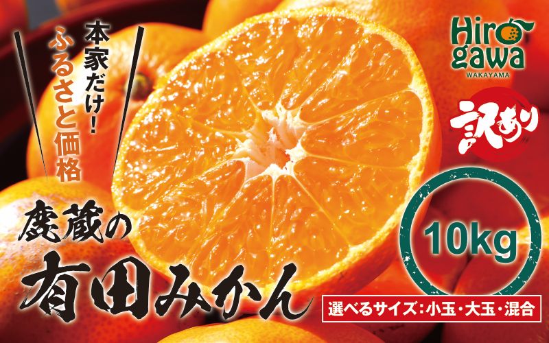 鹿蔵の 有田 みかん 訳あり 10kg 光センサー 選果 / 温州みかん 有田みかん 甘い 家庭用 和歌山 柑橘 ※2026年11月より順次発送予定 ※北海道・沖縄・離島への配送不可 【ikd004-cm-10-nov-PR】